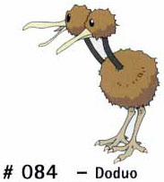 N 084 Doduo